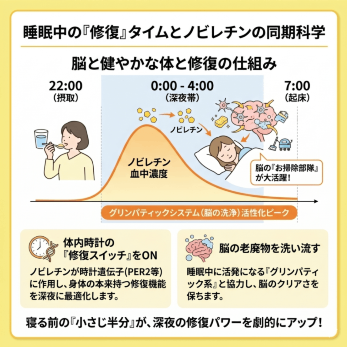 【健康習慣】シークワサーのノビレチンがサポートする　脂肪燃焼！花粉症対策、糖尿病予防など！