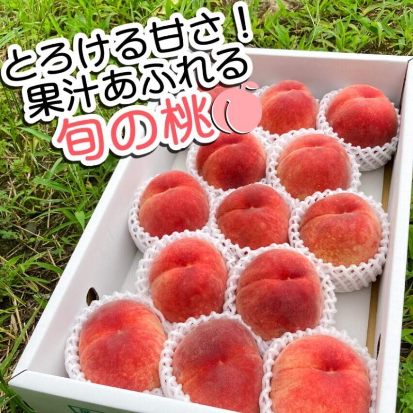 【桃②甘い系】 お中元・夏ギフト特集】恋甘桃 約2kg（6～8個）和歌山県産 木村農園