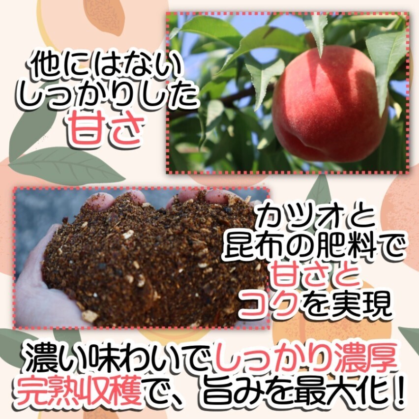 恋甘桃 約2kg（6～8個）和歌山県産 木村農園 完熟 旬の桃 甘い 濃厚
