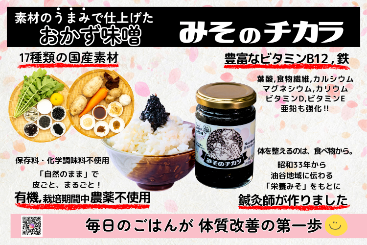 おかず味噌✨プレゼントやお試しに最適✨️【みそのチカラ】50ｇ 国産の厳選素材17種✨国内送料無料