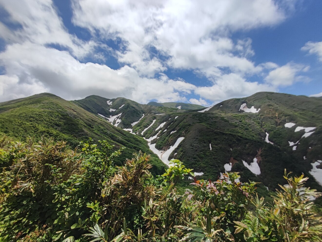 【予約販売・6月発送・お試し中小サイズ】朝採り天然月山筍400g ◆山形県月山山系の極上根曲がり竹◆