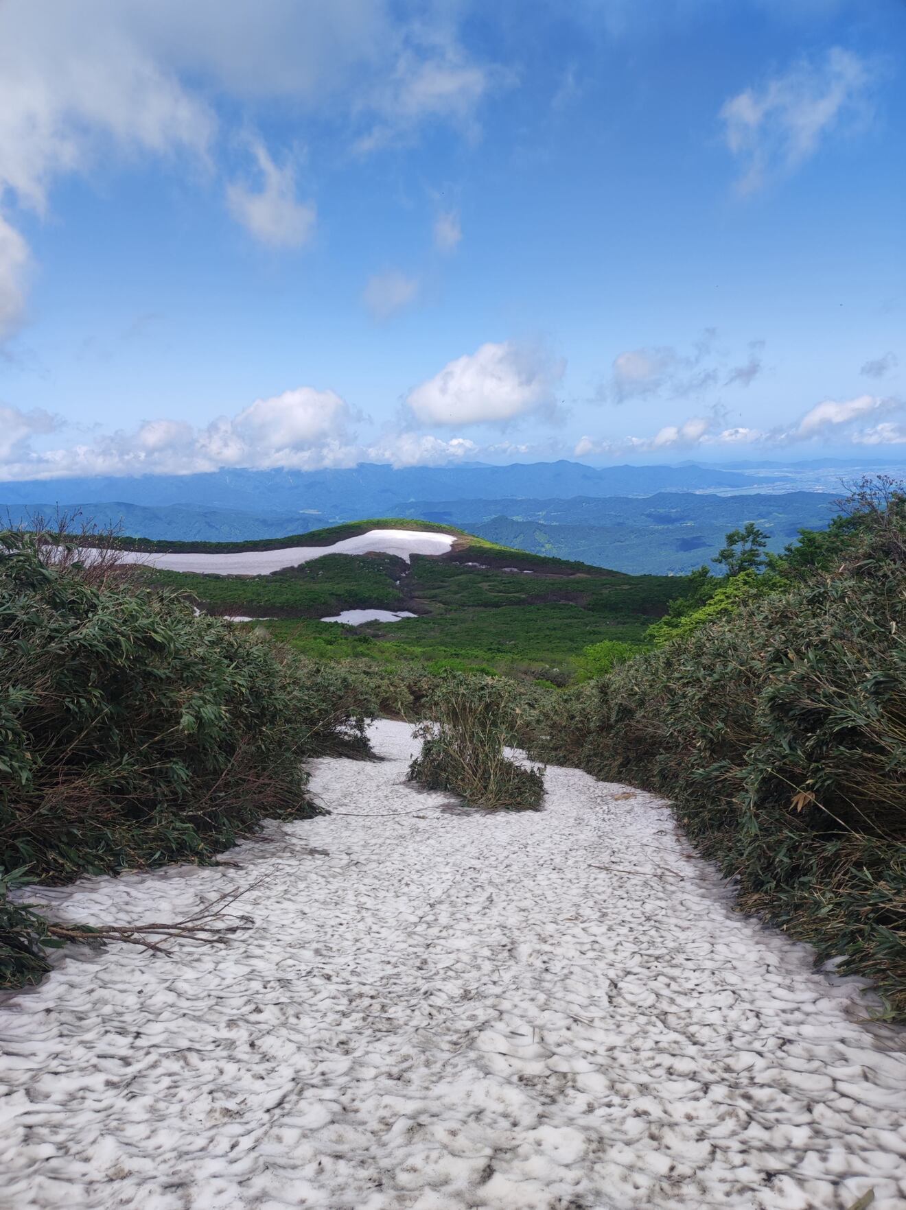 【予約販売・6月発送・お試し中小サイズ】朝採り天然月山筍400g ◆山形県月山山系の極上根曲がり竹◆