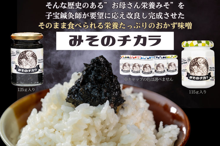 おかず味噌✨プレゼントやお試しに最適✨️【みそのチカラ】50ｇ 国産の厳選素材17種✨国内送料無料