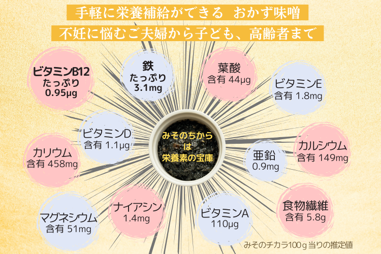 おかず味噌✨プレゼントやお試しに最適✨️【みそのチカラ】50ｇ 国産の厳選素材17種✨国内送料無料