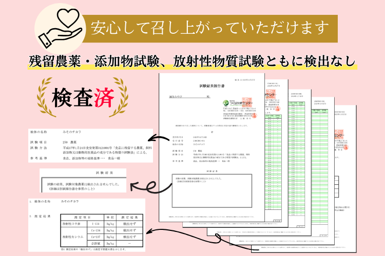 おかず味噌✨プレゼントやお試しに最適✨️【みそのチカラ】50ｇ 国産の厳選素材17種✨国内送料無料