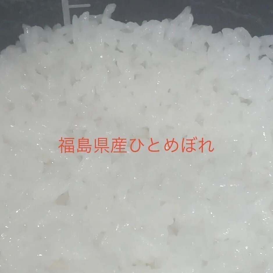【東京方面まで送料無料になります】【産地直送】令和7年産福島県産ひとめぼれ白米27kg