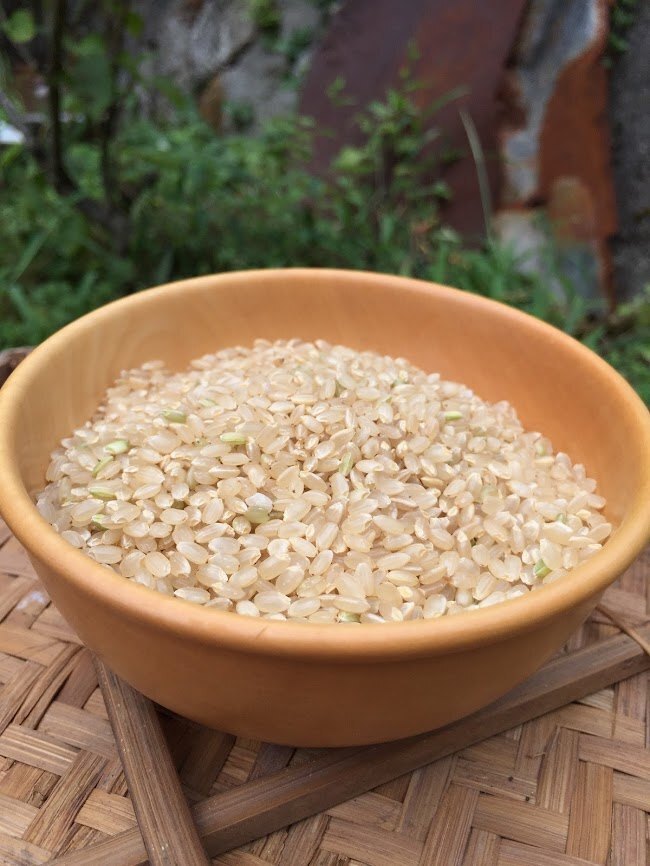 「玄米」５K　R7年産　特別栽培米　丹後こしひかり　