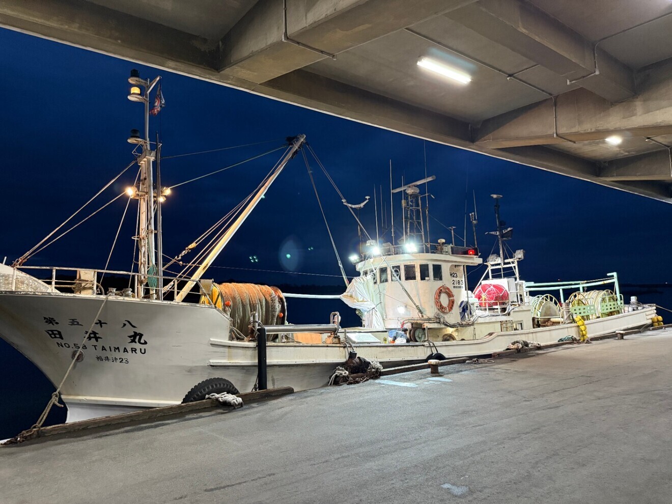 【訳あり・送料込】福井県三国港産 天然甘エビ1kg 子持ち入りあり・刺身OK
