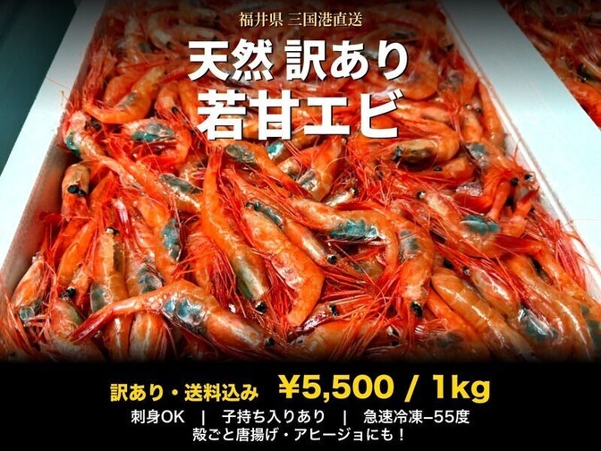【訳あり・送料込】福井県三国港産 天然甘エビ1kg 子持ち入りあり・刺身OK
