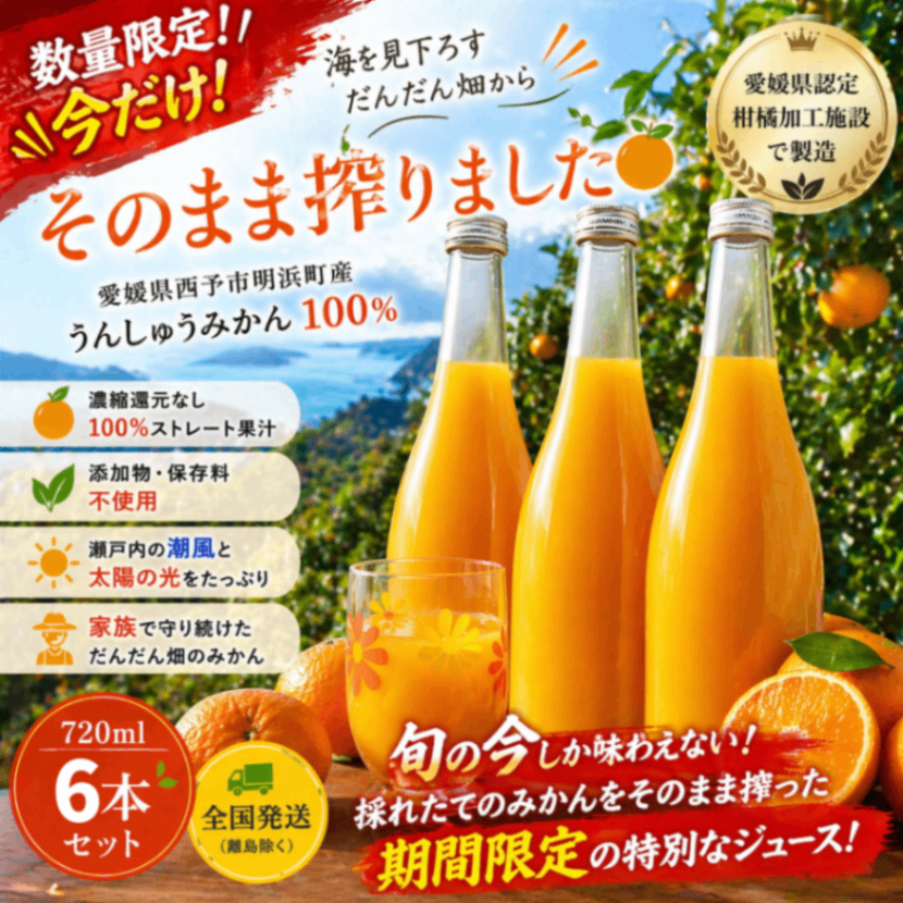 海を見下ろす段々畑から
【まとめ買い】愛媛みかんジュース
ストレート果汁100%
720ml×6本
