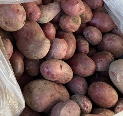 【予約販売】ドラゴンレッド🥔農林1号【お得な食べ比べセット】60サイズ【自然農法栽培】サイズ色々