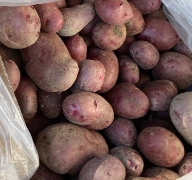 【予約販売】ドラゴンレッド🥔農林1号【お得な食べ比べセット】60サイズ【自然農法栽培】サイズ色々
