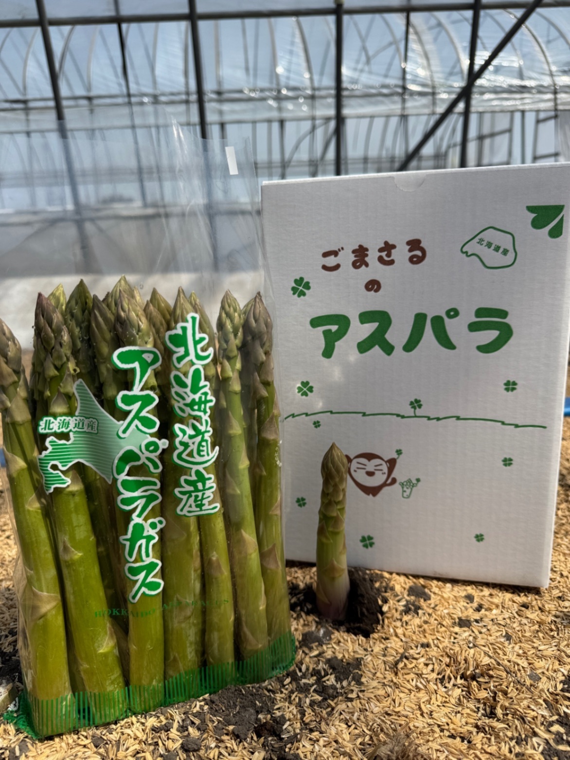 北海道産　グリーンアスパラ２Ｌサイズ900g（未知との遭遇）