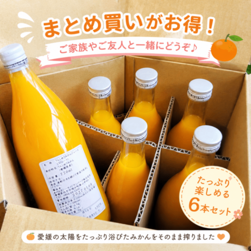 海を見下ろす段々畑から
【まとめ買い】愛媛みかんジュース
ストレート果汁100%
720ml×6本
