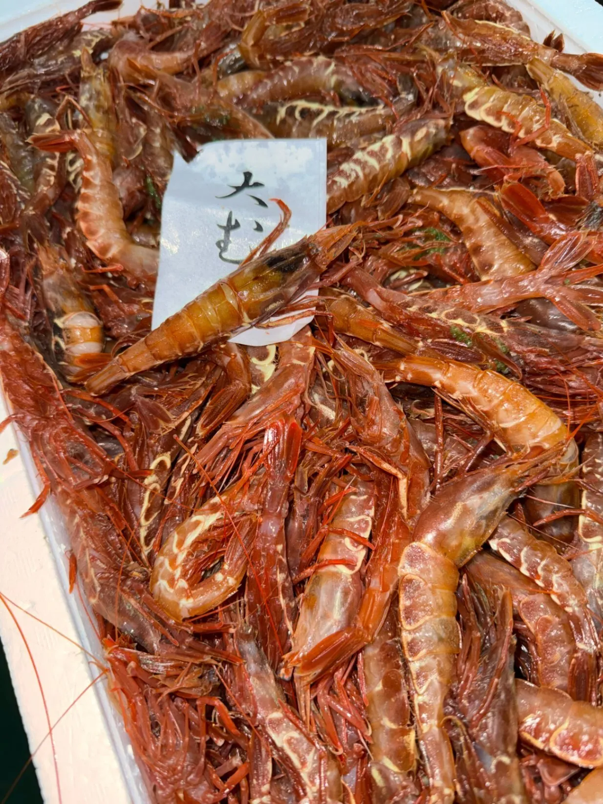 幻のガサエビと若甘エビ食べ比べセットガサエビ500g×甘エビ300g