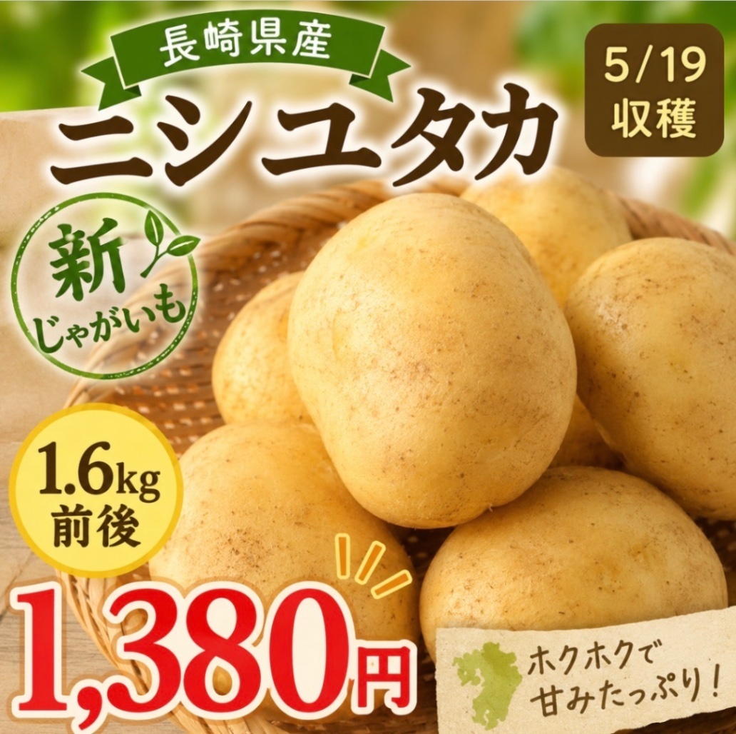【農家直送】5／19収穫‼️長崎県産ニシユタカ新じゃが いも1．6キロ前後 野菜　芋