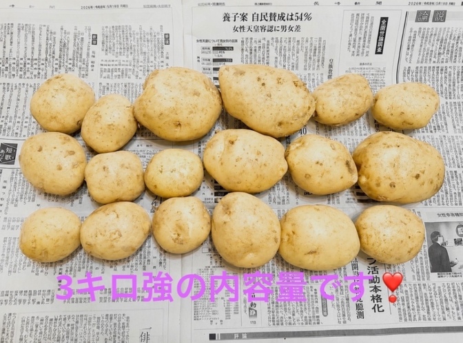 【農家直送】5/19収穫‼️長崎県産ニシユタカ新じゃが いも🥔3キロ 野菜