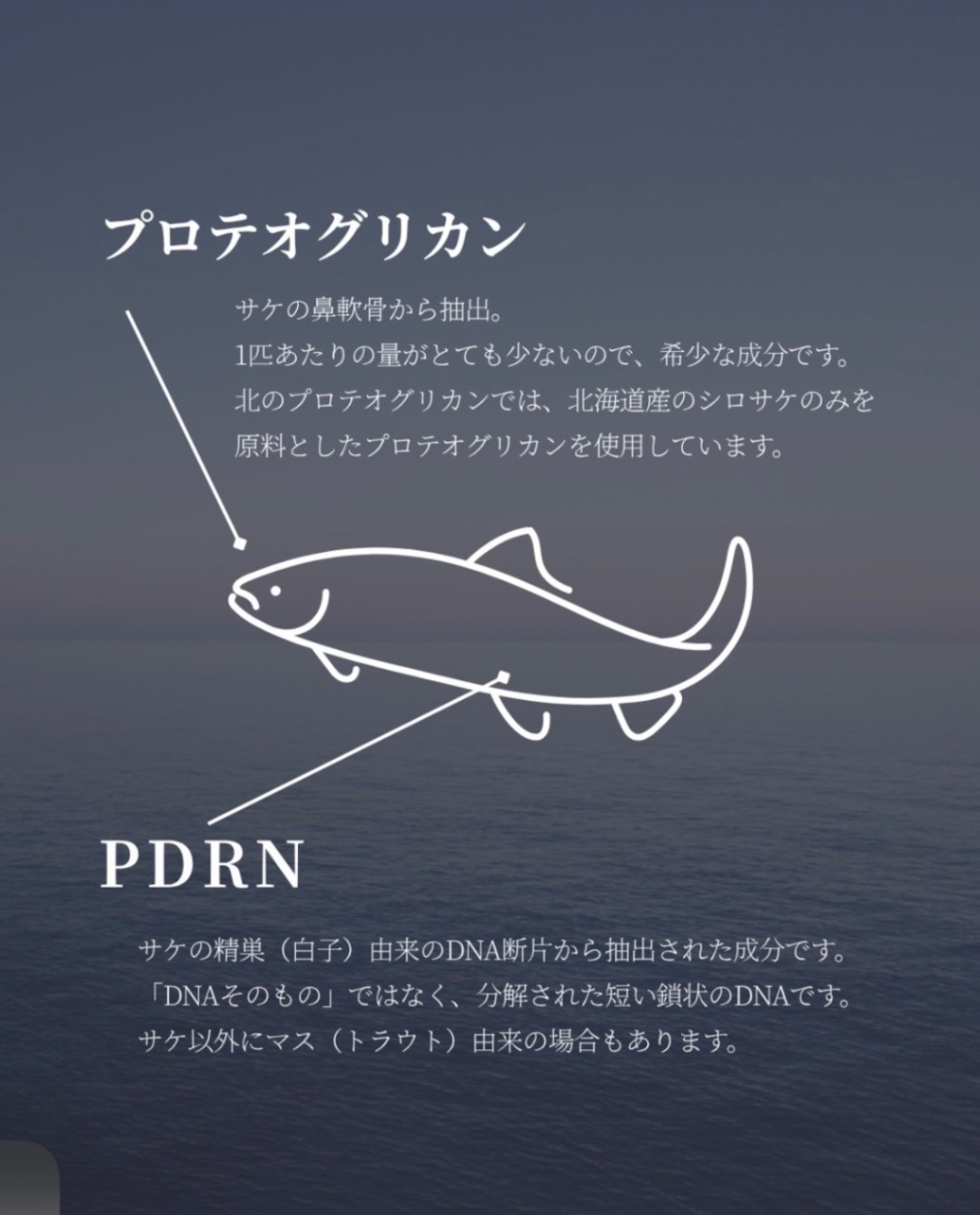 　プロテオグリカン原液　
★乾燥による小じわを目立たなくする効能評価 試験済み★
