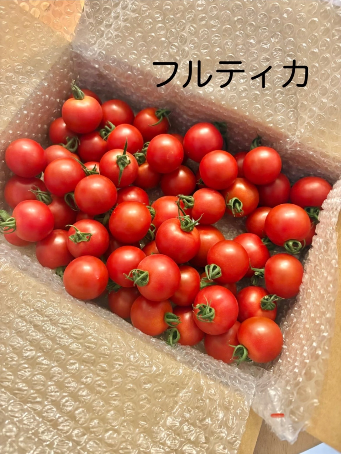 宮崎県産ひなたミニトマト　フルティカ1.6キロ