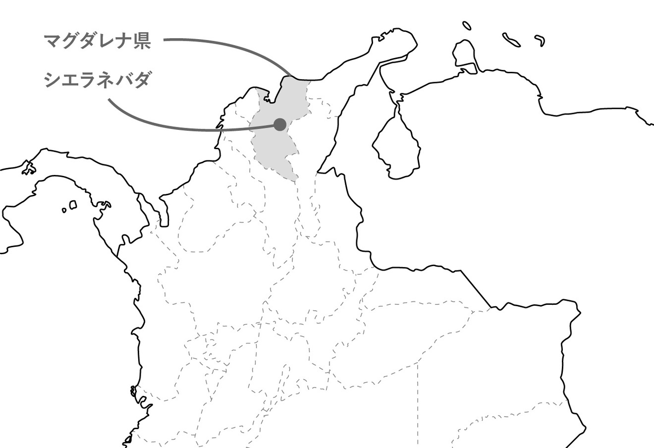 【父の日ギフト】【オーダー焙煎】【JAS認証】コロンビア シエラネバダ ウォッシュ スプレモ