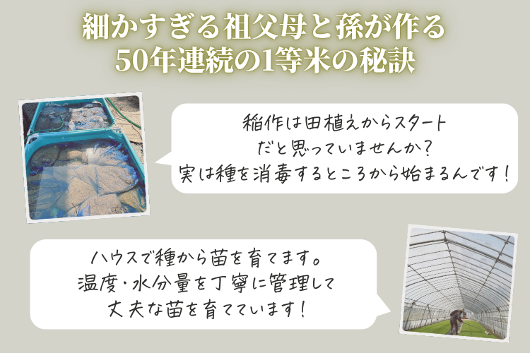 【2026年産新米予約】千葉県産コシヒカリ9kg（9月発送）