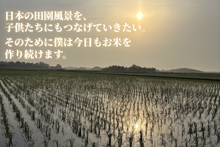 【2026年産新米予約】千葉県産コシヒカリ9kg（9月発送）