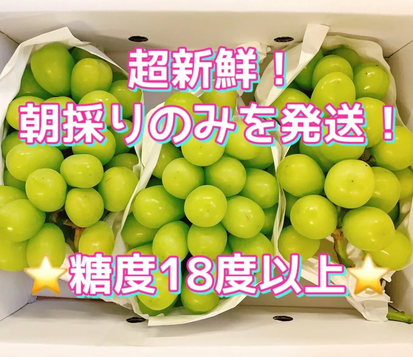 【７月より予約開始】山梨県産シャインマスカット２キロ【朝採り】【秋の味覚】贈答用にも