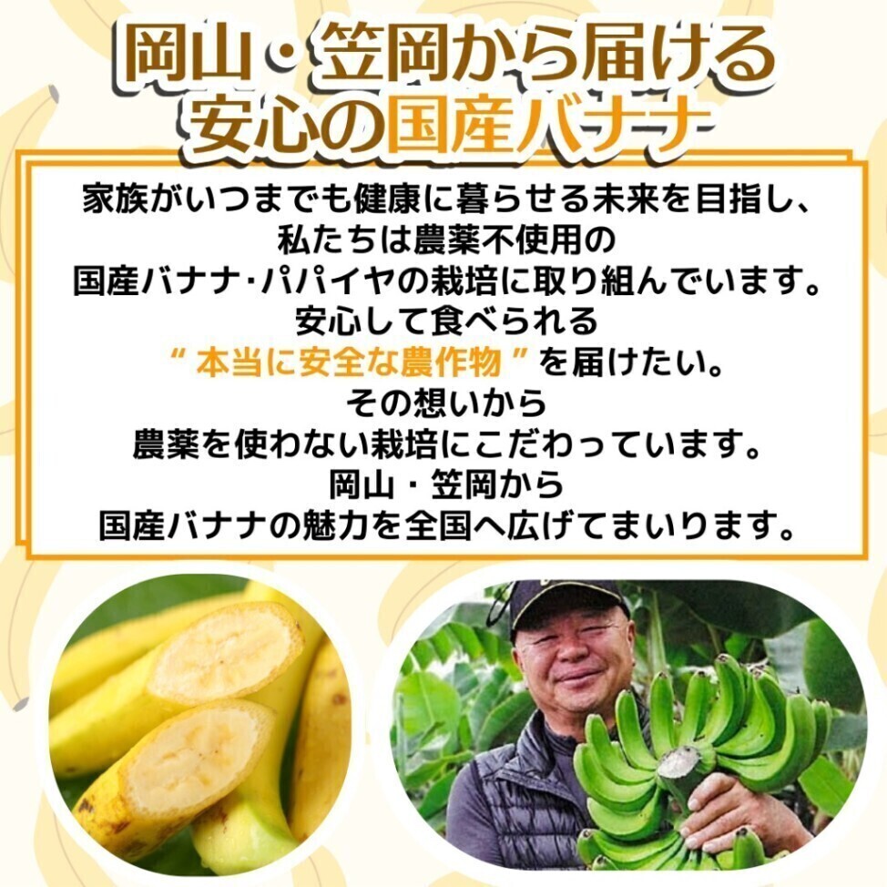 凍らせた瀬戸内ばなな フローズン 冷凍 国産バナナ 1.5kg 農薬・防腐剤不使用 岡山県笠岡産