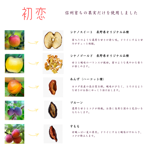 果実まで楽しむフルーツティー　「信州産ドライフルーツと北限の和紅茶」マグカップでもどうぞ