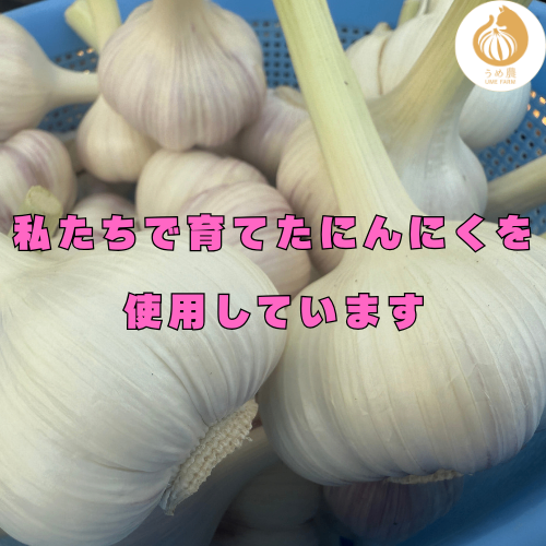【熊本県産・農薬不使用】ドライにんにくーーー手軽に本格風味をプラス！