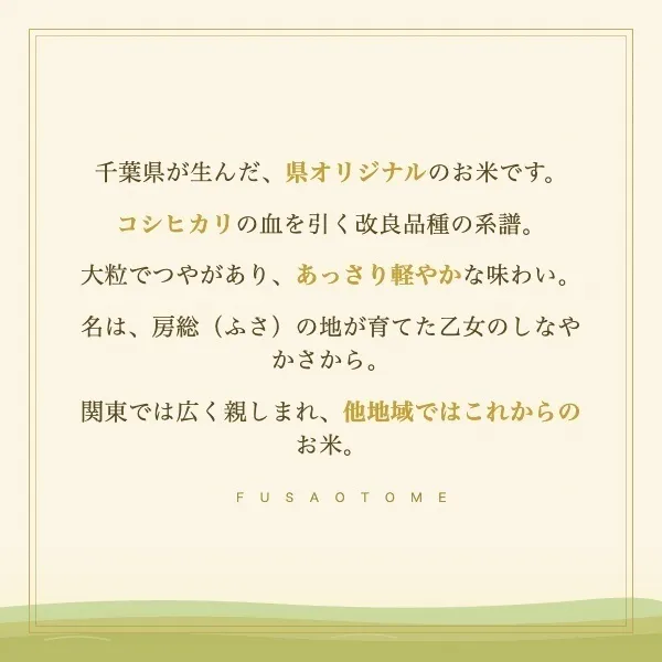 【新米】白米5kg　千葉県産 ふさおとめ  令和8年産 精米したて 