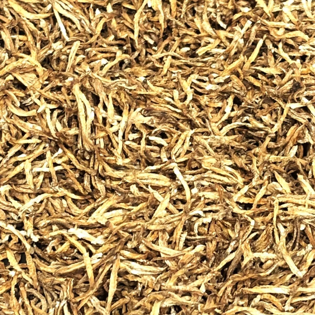 国産ごぼう茶 20g 手焙煎 無添加 香り焙煎ごぼう茶 送料込み