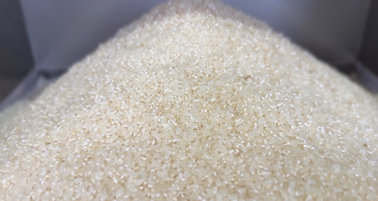  【令和7年産　特別栽培米コシヒカリ🌾】精米5キロ🍚　富山県産