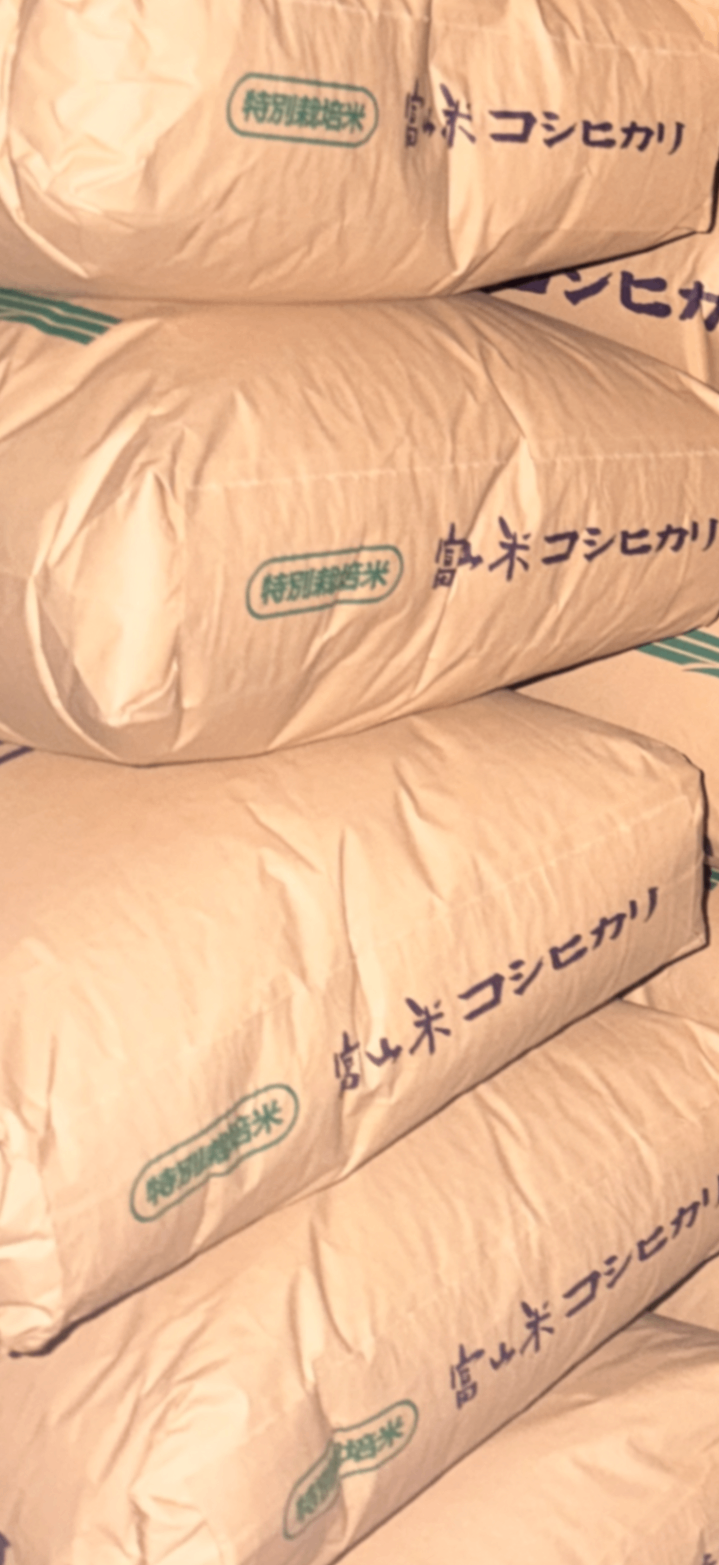  【令和7年産　特別栽培米コシヒカリ🌾】精米5キロ🍚　富山県産