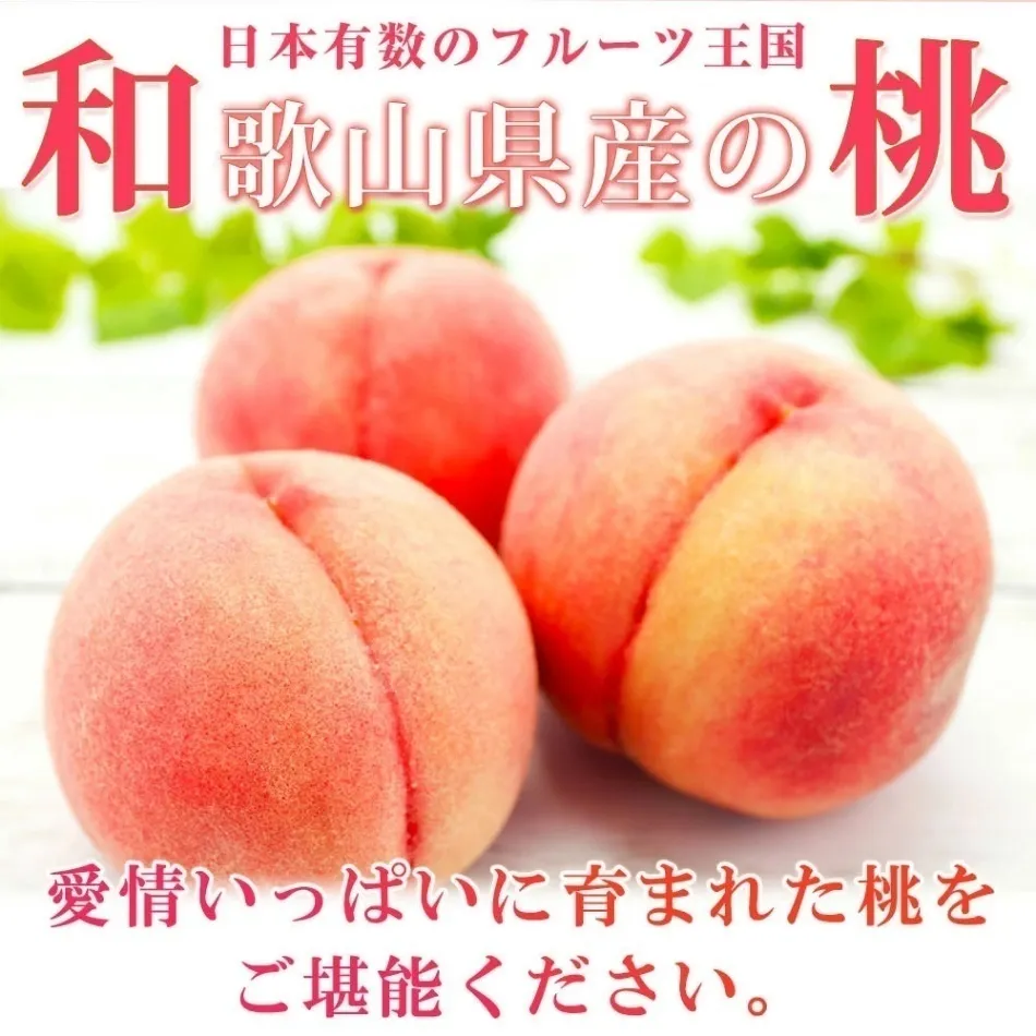 【お中元・夏ギフト】紀州和歌山産の桃　秀品約4kg※2026年6月下旬頃～8月上旬頃発送予定