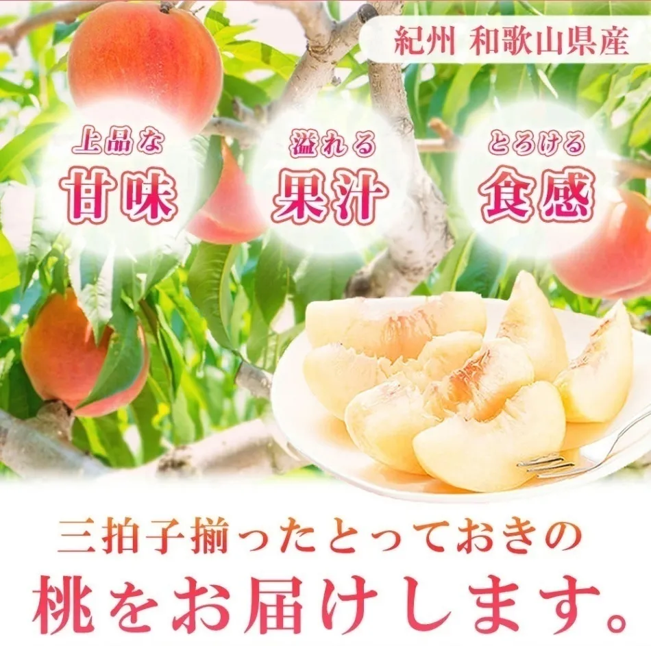 【お中元・夏ギフト】紀州和歌山産の桃　秀品約4kg※2026年6月下旬頃～8月上旬頃発送予定
