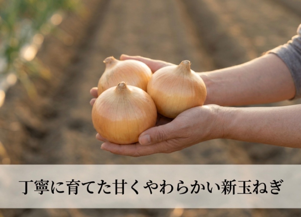 そらまめ＆たまねぎ　ハーフ＆ハーフ♪


