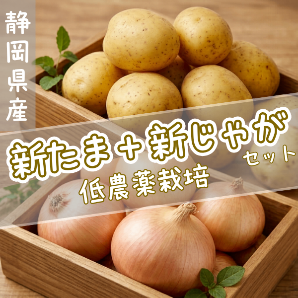 【数量限定】新じゃが＆新玉ねぎセット　低農薬で育てた新鮮野菜 採れたて直送　ジャガイモ　タマネギ