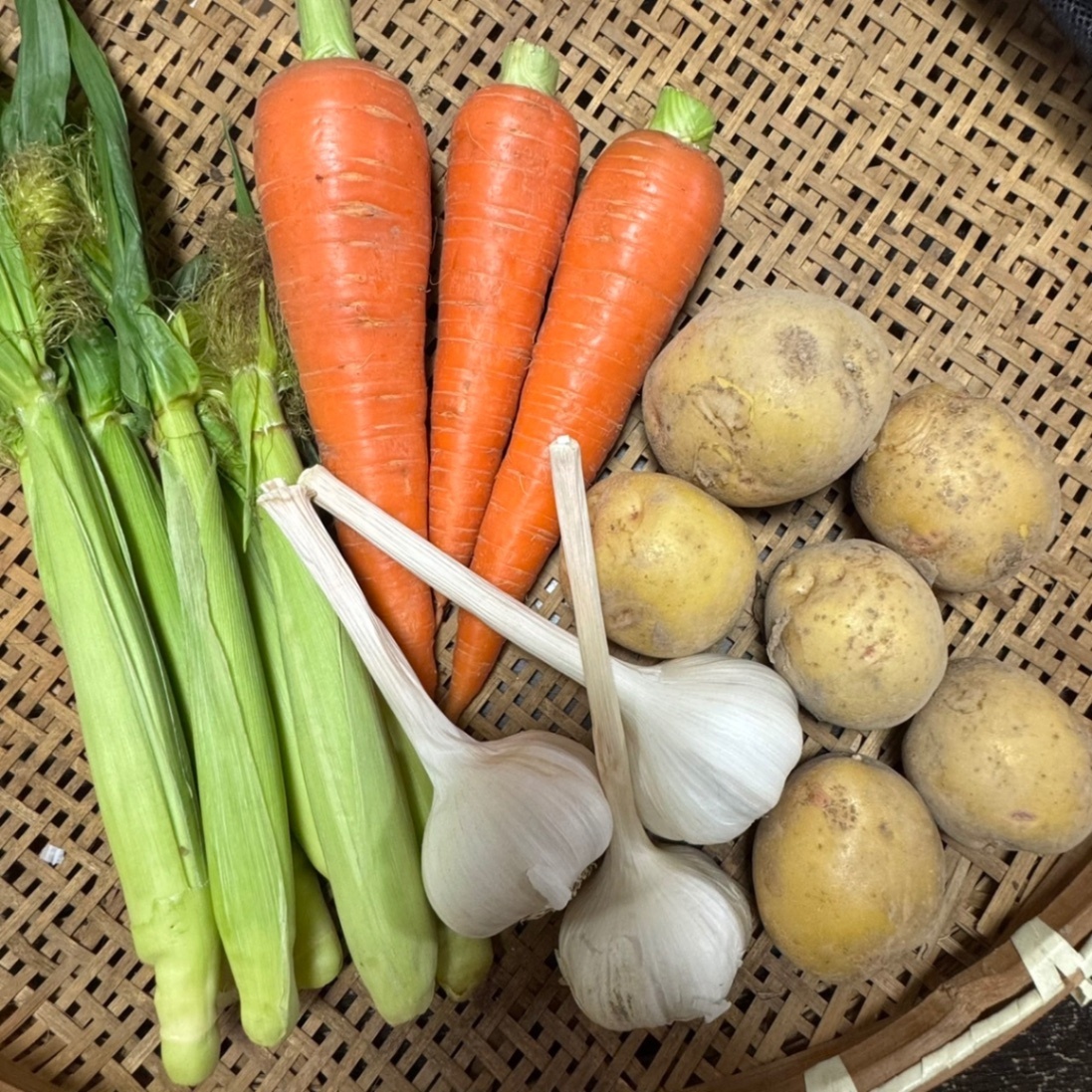 旬の味覚！採れたて夏野菜4点セット（新じゃが🥔・ヤングコーン🌽・人参🥕・にんにく🧄）