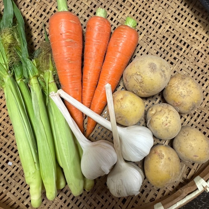 旬の味覚！採れたて夏野菜4点セット（新じゃが🥔・ヤングコーン🌽・人参🥕・にんにく🧄）
