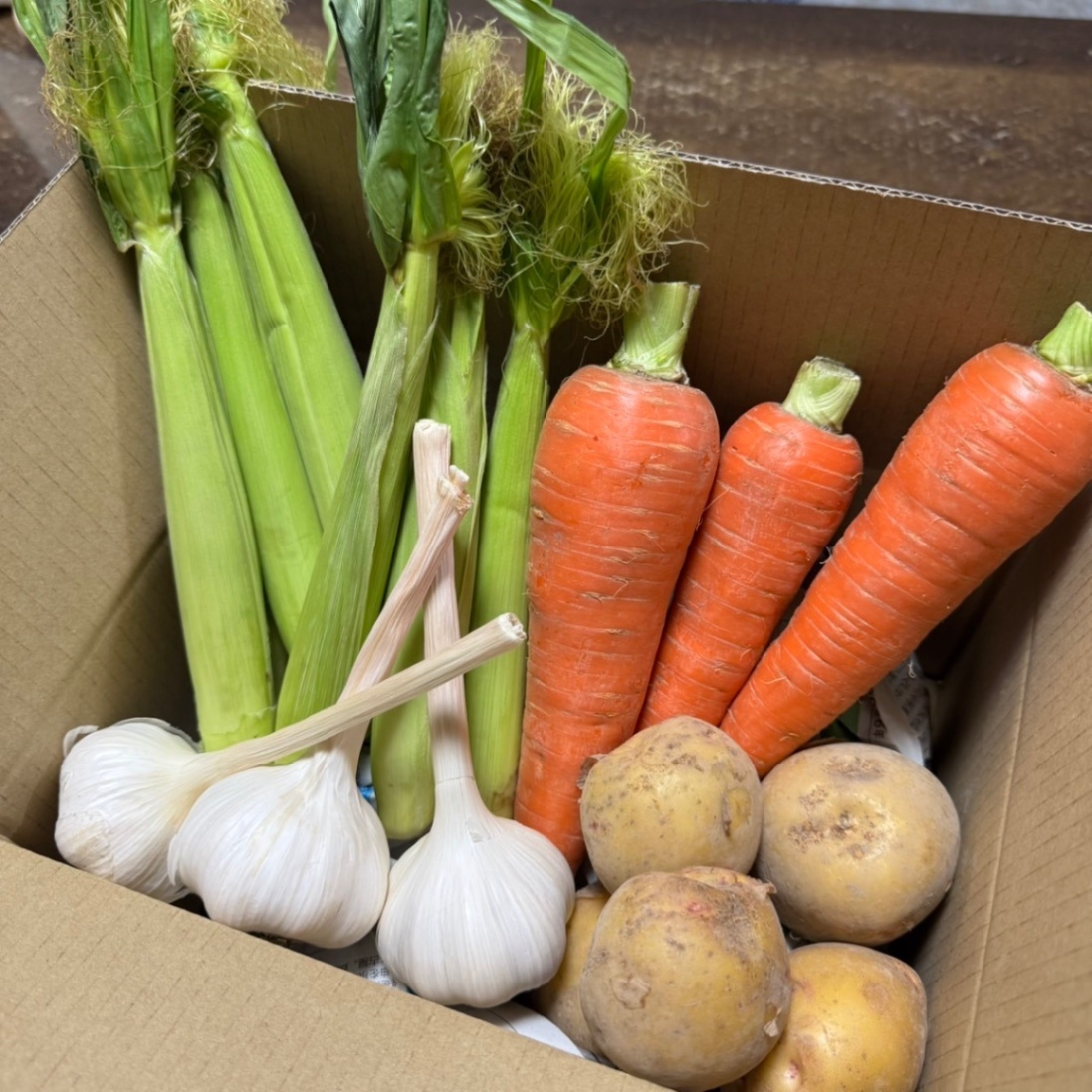 旬の味覚！採れたて夏野菜4点セット（新じゃが🥔・ヤングコーン🌽・人参🥕・にんにく🧄）