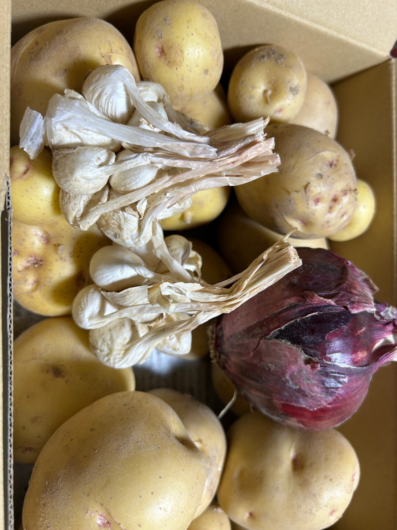 米寿の父と一緒に育てた新じゃが（きたあかり）赤玉ねぎ、新にんにく
無農薬栽培の旬の野菜セット！