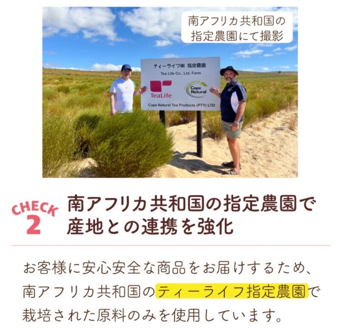 黒豆ルイボスティー　こだわりブレンド　2g✕100個入｜ノンカフェイン【ティーライフ】