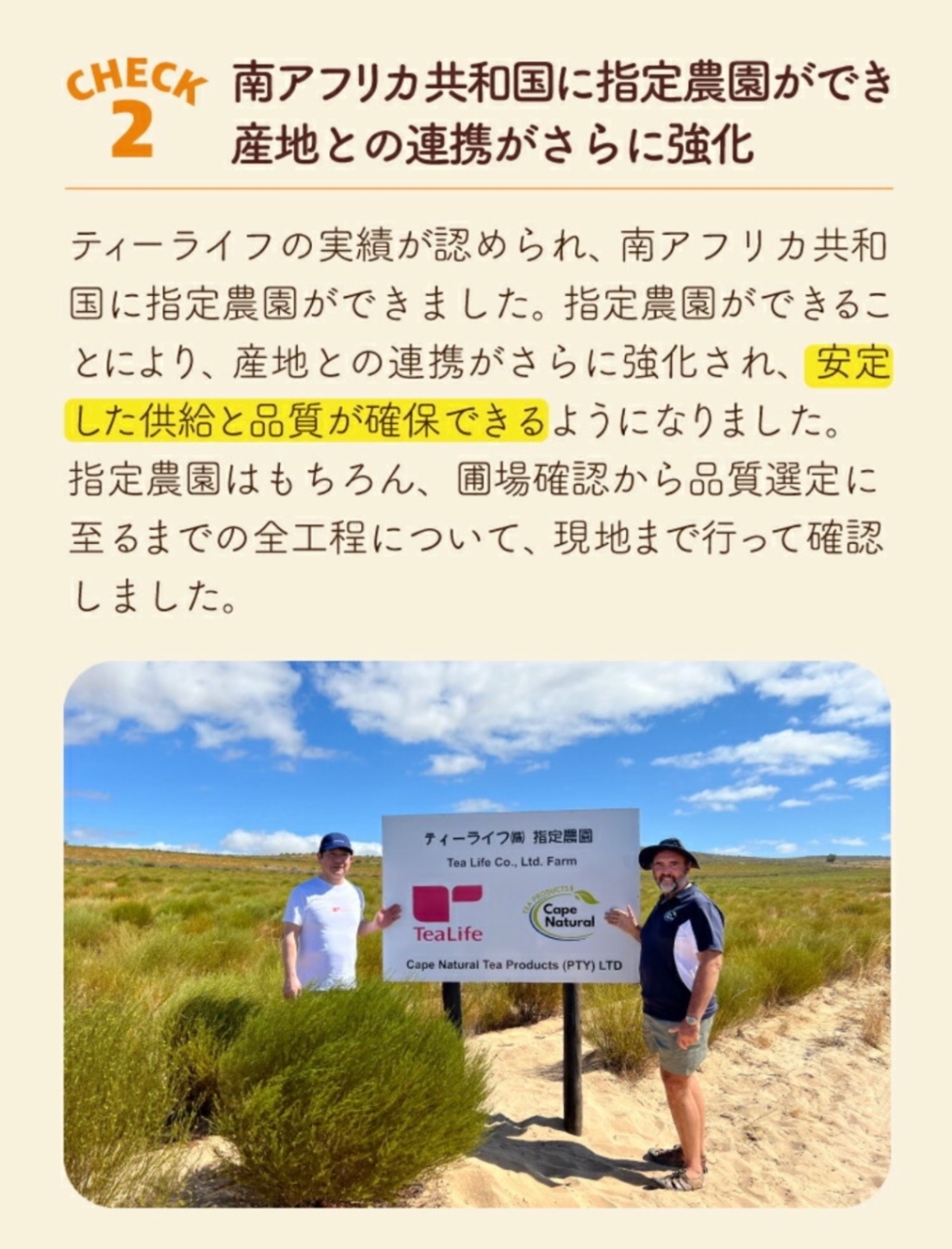 オーガニック ルイボスティー 2g✕101個入り｜ノンカフェイン・有機JAS認証【ティーライフ】