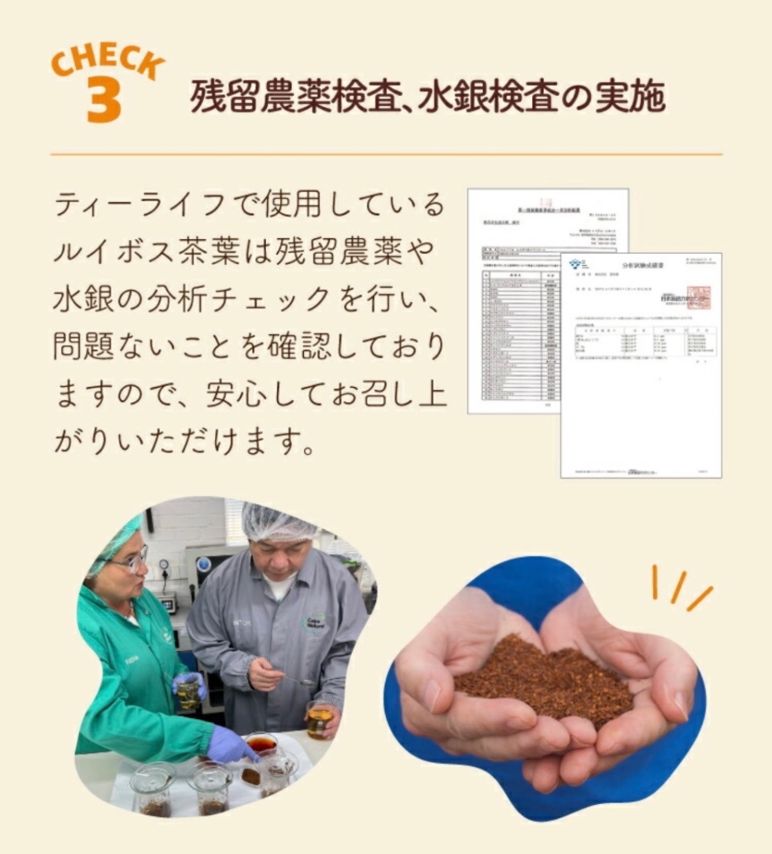 オーガニック ルイボスティー 2g✕101袋×2セット ノンカフェイン【有機JAS認証】ティーライフ