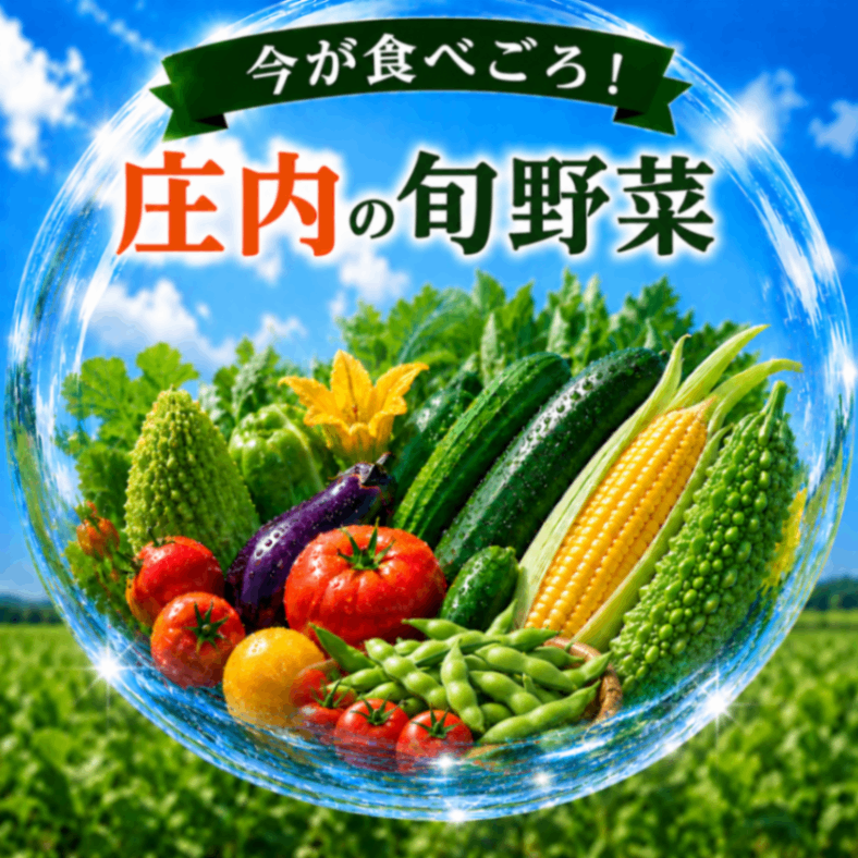 【酒田市近郊限定】お渡しする直前に収穫！旬の採れたて野菜（組み合わせ自由）