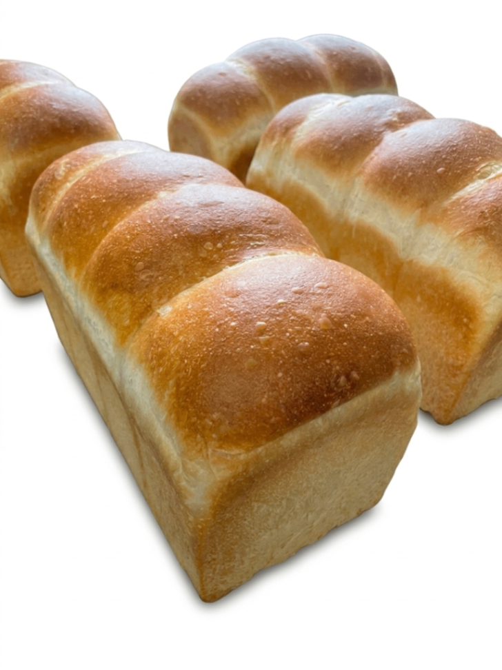パン🍞ソロピック　玄人行動🍞
