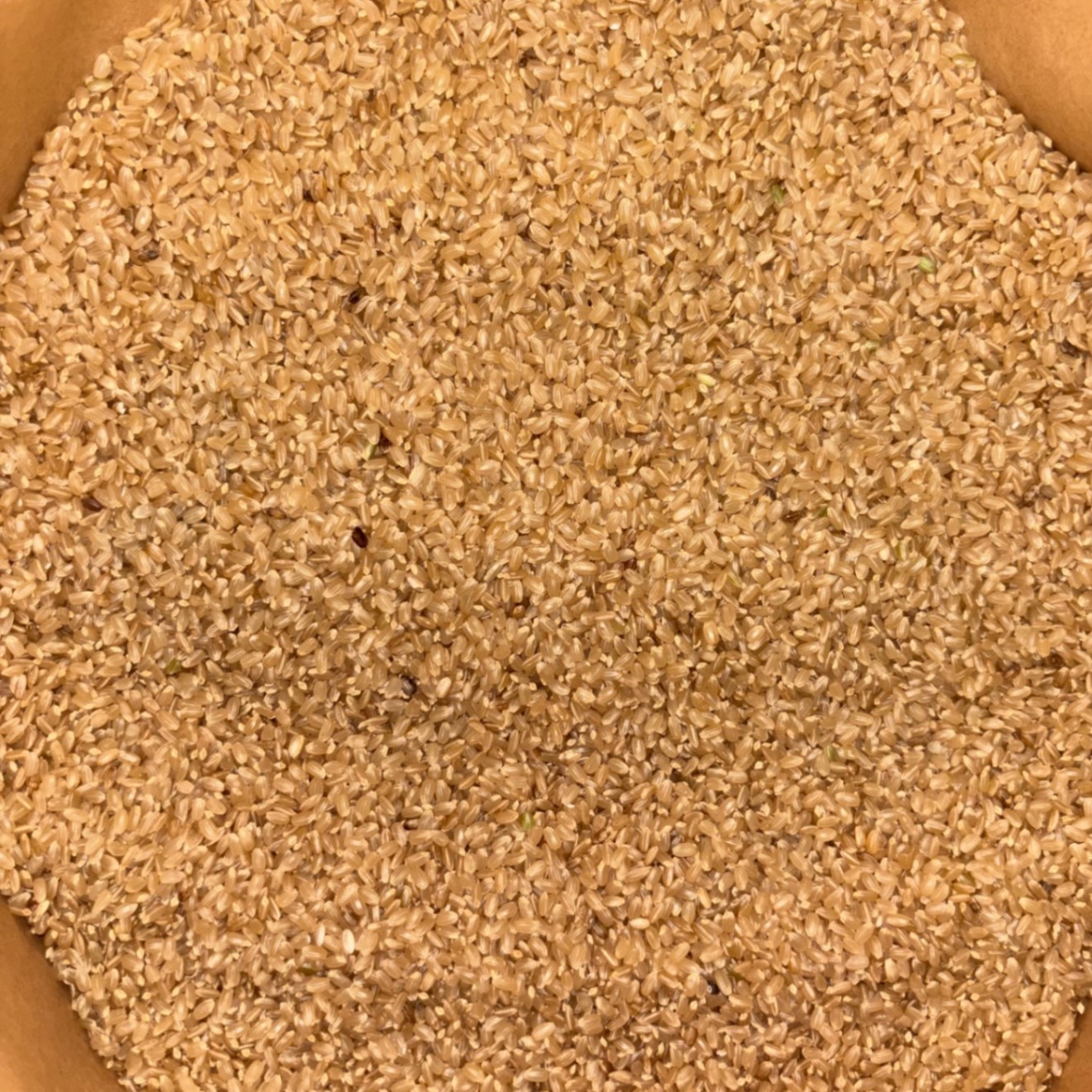 【訳ありお買い得品】特別栽培 新潟の高級米新之助30㌔玄米プレミアムライス田植え後農薬は除草剤のみ 