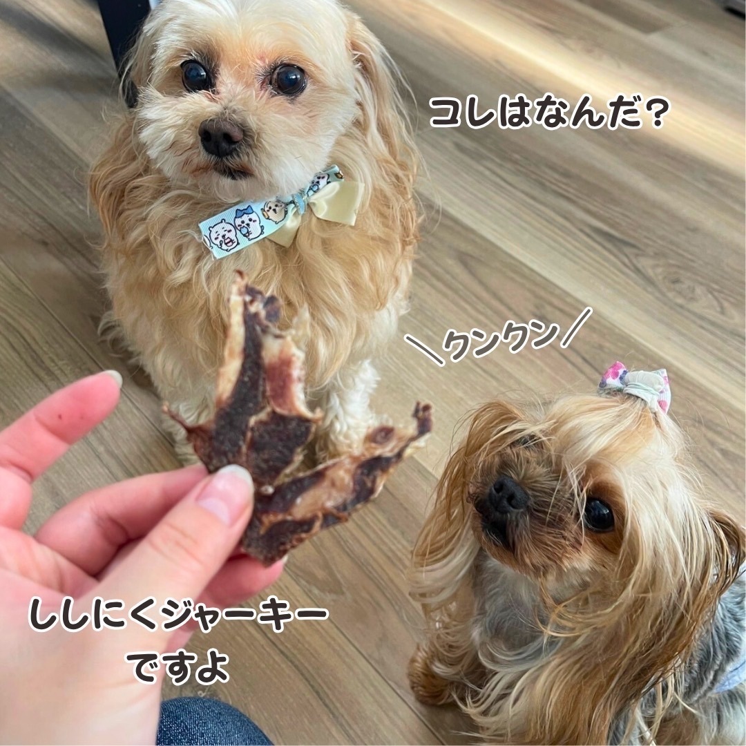 いまだけ２パックのみ50g増量！
ペット用！いのししジャーキー（イノチップス）