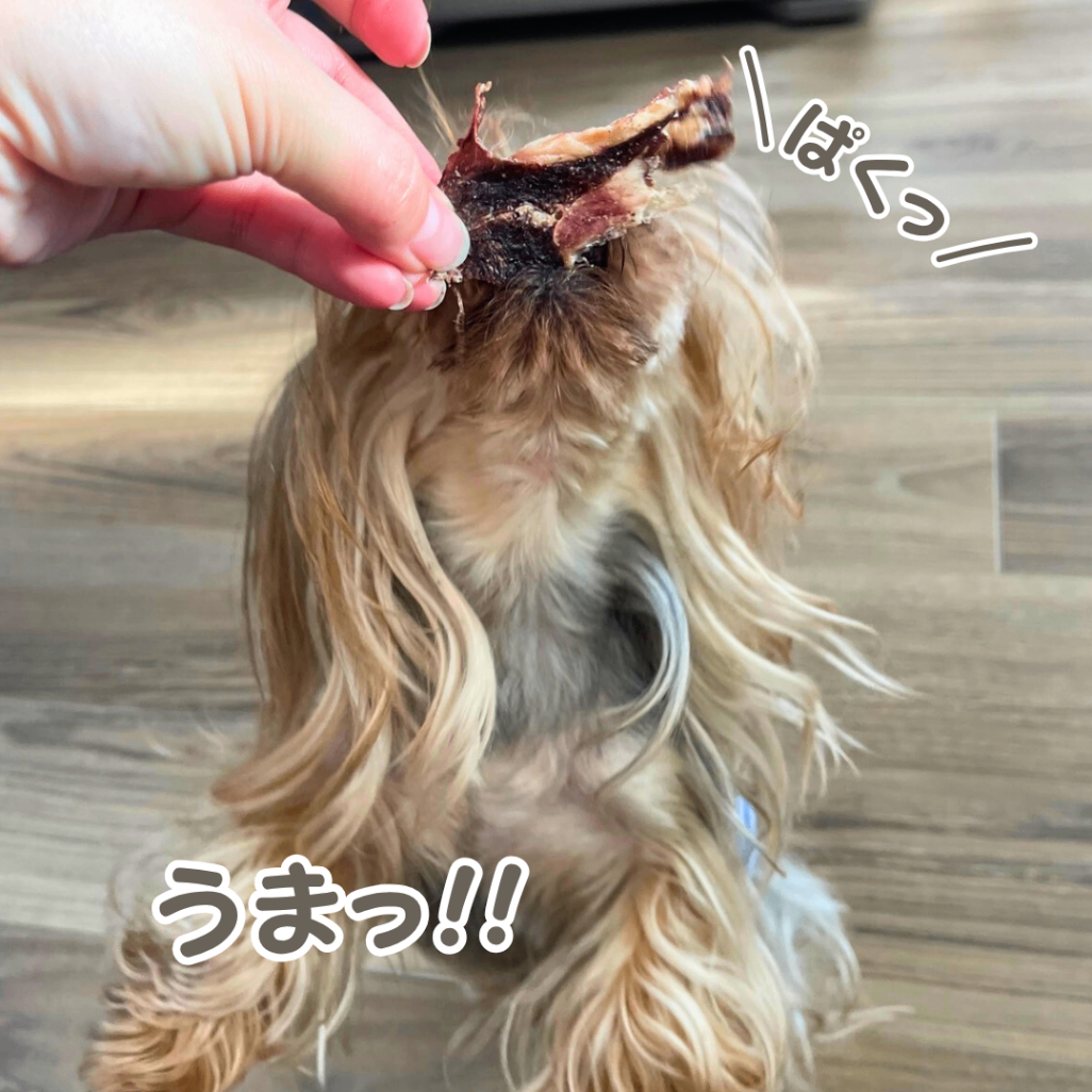 いまだけ２パックのみ50g増量！
ペット用！いのししジャーキー（イノチップス）